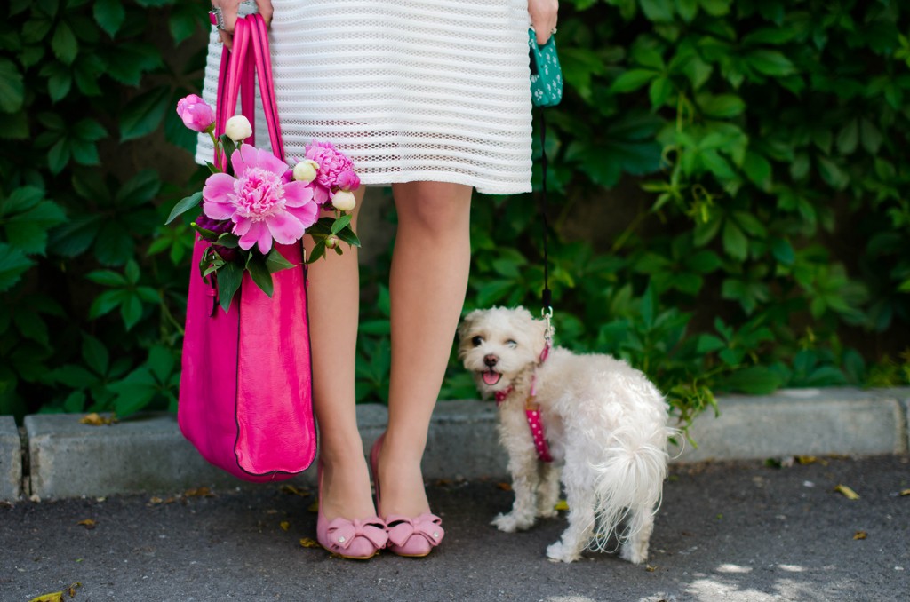 sheinside-white-midi-dress-pink-bow-heels-peonies-pink-feminine-outfit (18)