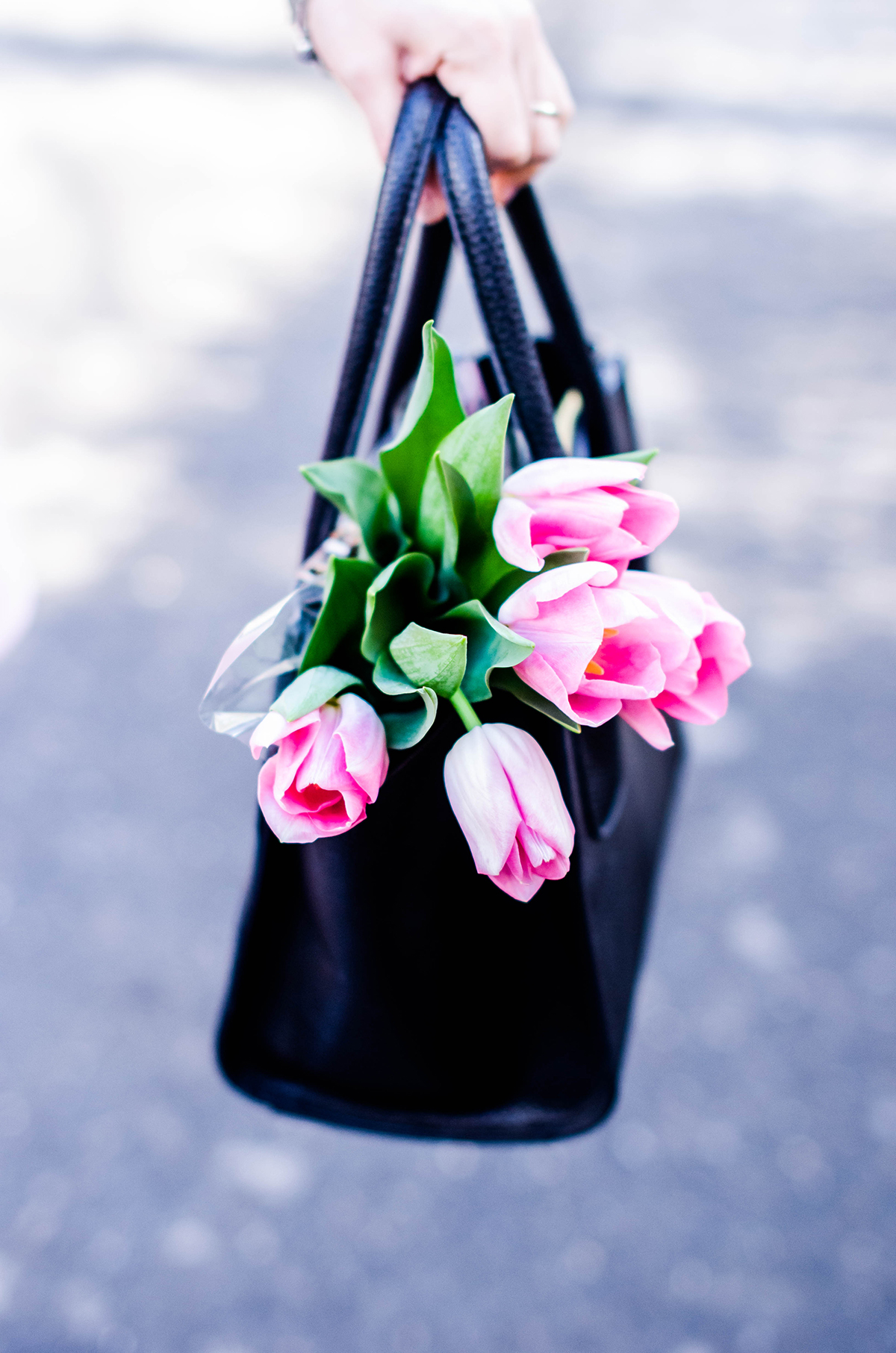 pink-tulips-spring-pink-wish (4)